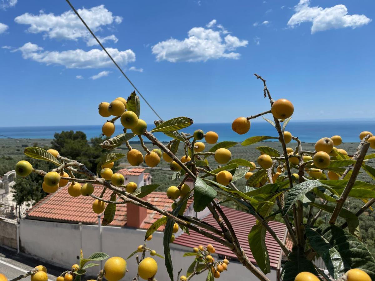 Villetta - Qui Dove Il Mare Luccica - Affitti Brevi Italia Monte SantʼAngelo Exterior foto