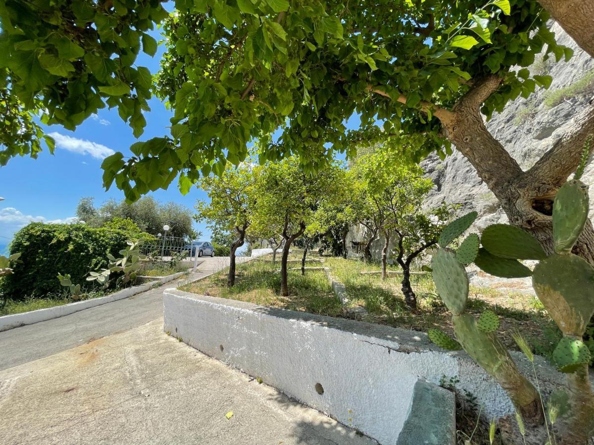 Villetta - Qui Dove Il Mare Luccica - Affitti Brevi Italia Monte SantʼAngelo Exterior foto