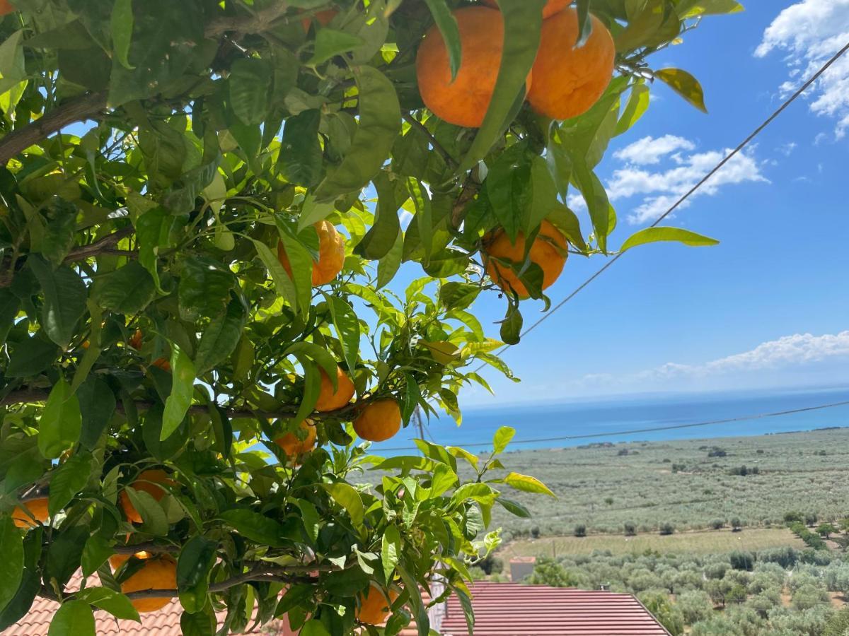 Villetta - Qui Dove Il Mare Luccica - Affitti Brevi Italia Monte SantʼAngelo Exterior foto