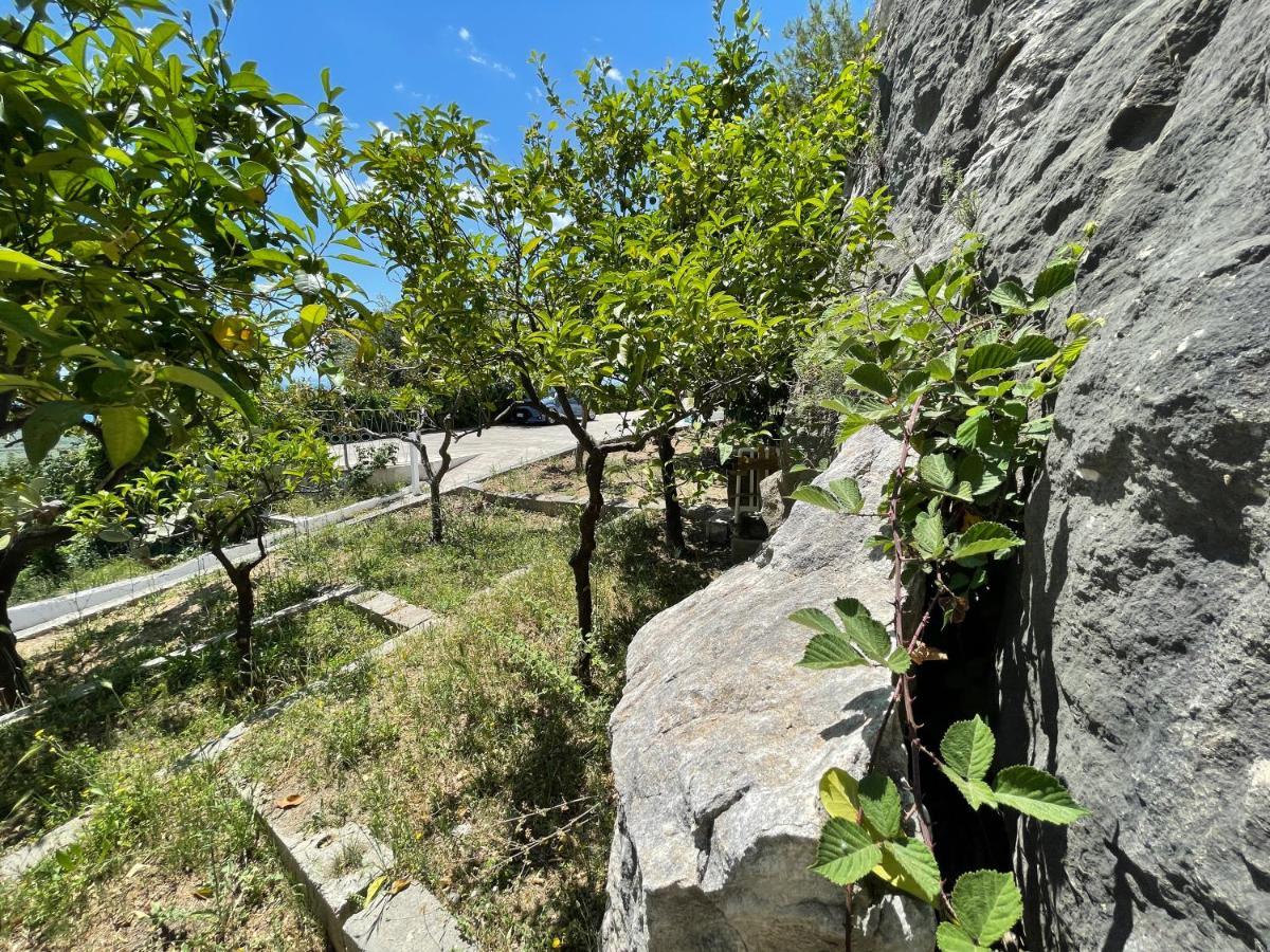 Villetta - Qui Dove Il Mare Luccica - Affitti Brevi Italia Monte SantʼAngelo Exterior foto